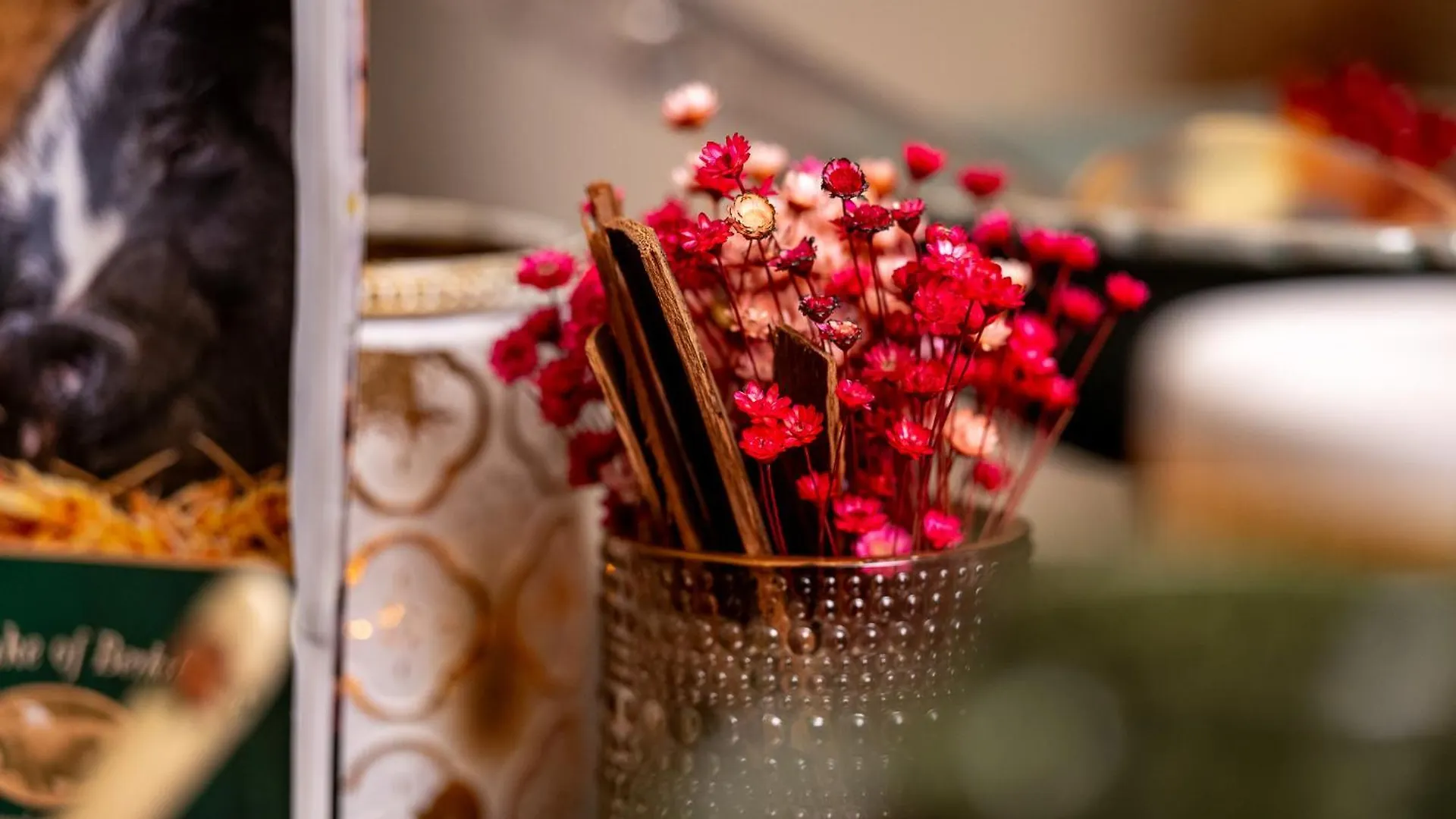 Luxury Boutique Hotel De Castillion Bruges 4*,  Belgium